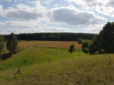 Działka Prawęcin gmina Kunów