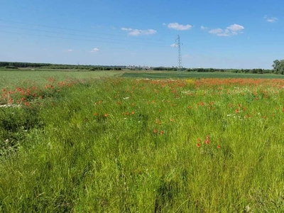 Działka widok na miasto w Pniówku 32x48(15,5ar)