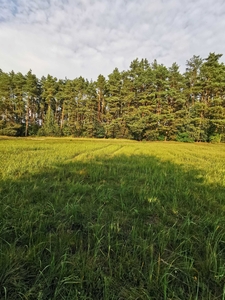 Na sprzedaż piękna działka przy lesie w Chwałowicach