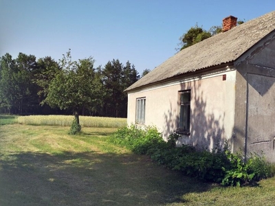 Siedlisko-dom do remontu -duza działka -cisza/spokój (Różan/Maków Maz)