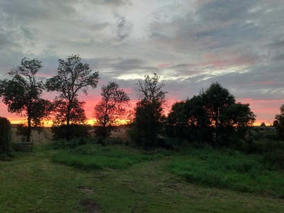 Siedlisko / dom na Mazurach