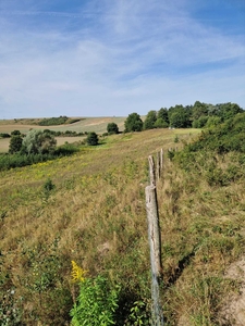 Sprzedam 3 działki w Gardzku TYLKO RAZEM