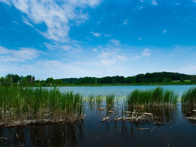 Urokliwa działka nad jeziorem