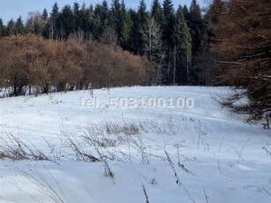 Dom Krynica-Zdrój