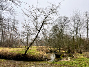 Działka budowlana, ul. Spacerowa