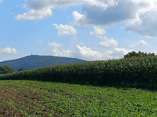 Działka inwestycyjna Zebrzydów