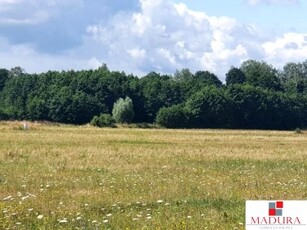 Działka rolno-budowlana Dobropole Gryfińskie