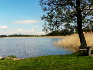 Działka rolno-budowlana Sędki