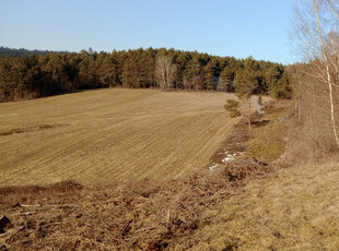 Gorlicki, Uście Gorlickie, Smerekowiec