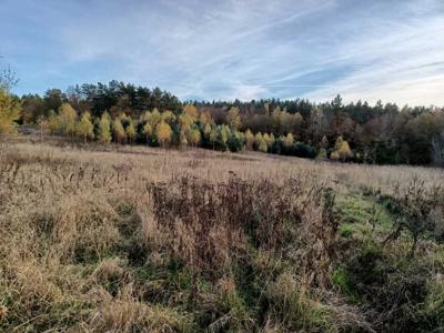 Działka 23600m2, blisko Koszalina, 29zł m2.