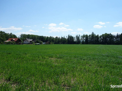 Skoczów Ochaby 3,2ha budowlany oraz pod usługi nieuciążliwe