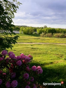 Sprzedam działkę nad rzeką Narew