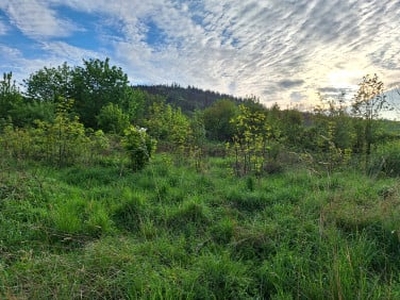 Działka budowlana, ul. Główna