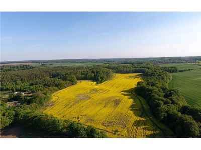 Nieruchomość gruntowa Sprzedaż Karczemka Gardkowska, Polska