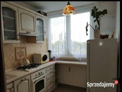 3pok 63met, Okolice Karkonoskiej BALKON/PIWNICA (Legnica)