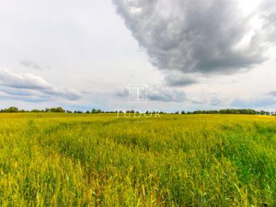 Działka rolno-budowlana Barnisław