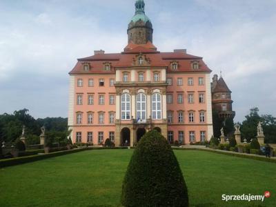 Kawalerka w Chojnicach do wynajęcia na dłuższy termin