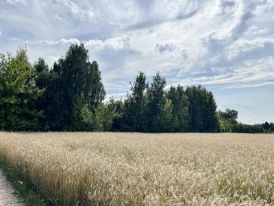 Warszawski Zachodni, Kampinos, Pasikonie, Jazdy Polskiej