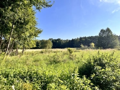 Działka rolno-budowlana Zieleniewo