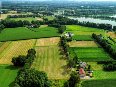 Działka, ul. Ogrodnicza