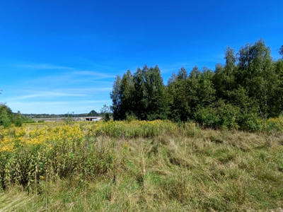 Działka przemysłowa, ul. Pokojowa