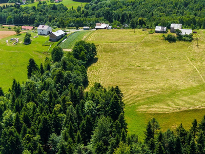 Tarnowski, Szerzyny, Żurowa