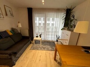 Apartament, ul. Płosa