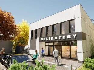 Lokal użytkowy Katowice Piotrowice, Chocimska