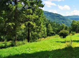 Bieszczady! Wyjątkowa działka z widokiem na Smerek! Kalnica gm. Cisna