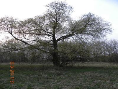 Działka bezpośrednio nad jeziorem głodowskim