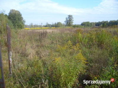 Działka budowlana o powierzchni 950 m2.