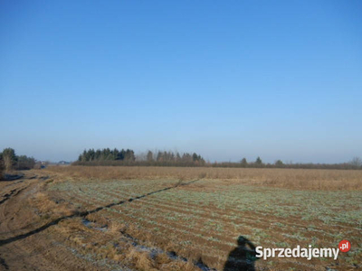 Syndyk masy upadłości sprzeda udział 5/24 w prawie własnośc…