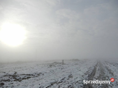 Syndyk masy upadłości sprzeda z wolnej ręki udział w wysoko…