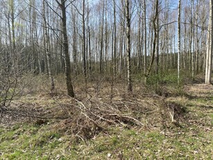 Działka rekreacyjno-budowlana w Czyżeminku, koło Pabianic, 2000 m2