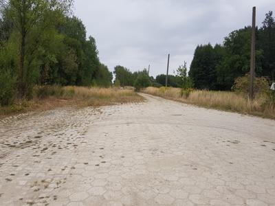 Jaworski (Pow.), Wądroże Wielkie (Gm.), Biernatki