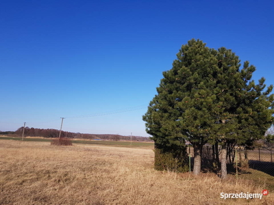 Działki rekreacyjne po 1000m2, blisko jeziora, wieś Łuszczewo