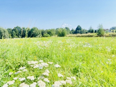 Atrakcyjna działka z warunkami do zabudowy