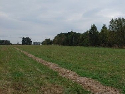 Działka Bocian 3000 m2