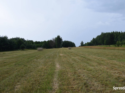 Działka budowlana 39a, Budy Głogowskie