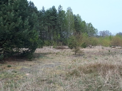 Działka budowlana Budy-Kałki