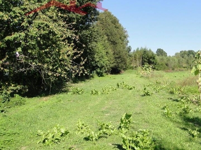 działka budowlana do sprzedania 1000 metrów Brzozów