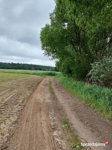 Działka budowlana Kalisz Rajsków Warunki Zabudowy