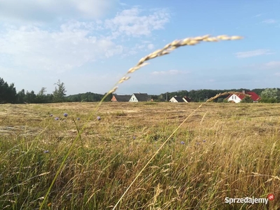 Działka budowlana nieuzbrojona