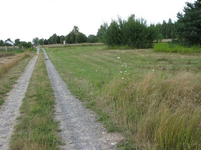 Działka Budowlana pod Nałęczowem, 