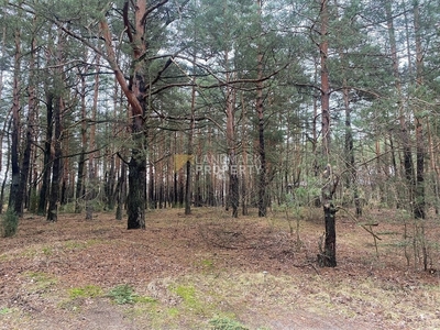 Działka budowlana Radzymin, ul. Piaskowa