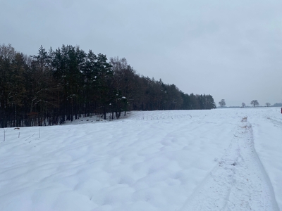 Działka granicząca z lasem- Wejherowo.