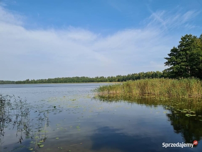 Działka na szlaku budowlana (media)