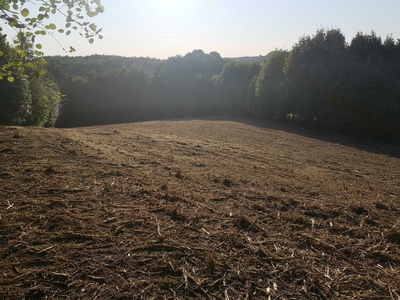 Działka rolna 0,58 ha niedaleko zamku w Korzkwi