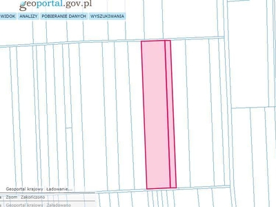 Działka rolna, pole, grunty orne 4,22 ha gmina Miączyn