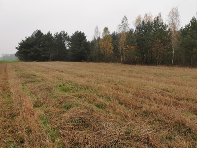 Działki 500m2 w Janopolu gm. Nowe Miasto, pow. Płońsk